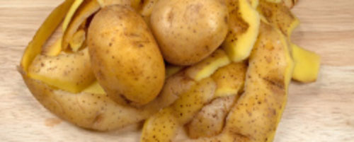 Don’t put potato peels in your garbage disposal!